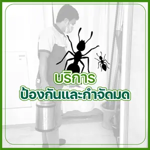 บริการป้องกันและกำจัดมด