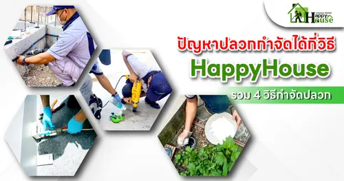 ปัญหาปลวกกำจัดได้กี่วิธี?