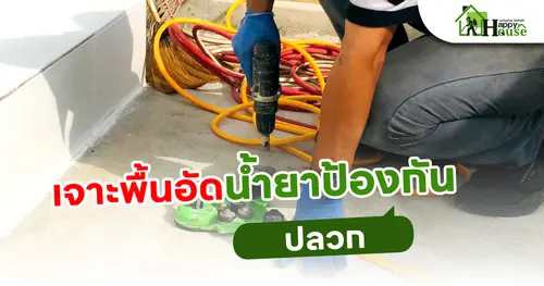 เจาะพื้นอัดน้ำยา ป้องกันปลวก