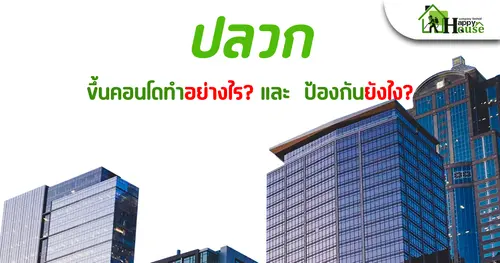 ปลวก ขึ้นคอนโดทำอย่างไร? ป้องกันยังไง?