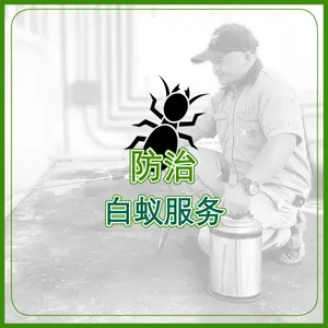 防治 白蚁服务