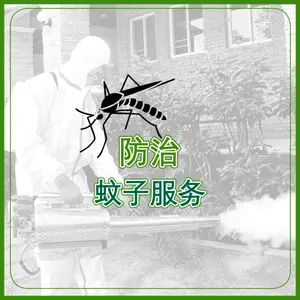防治 蚊子服务  