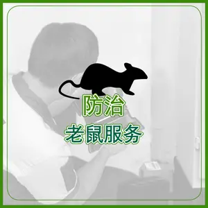 防治 老鼠服务  