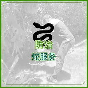 防治 蛇服务 