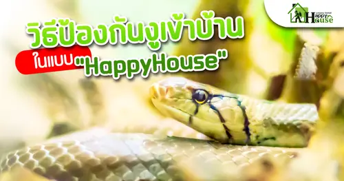 วิธีป้องกันงูเข้าบ้าน ในแบบ HappyHouse