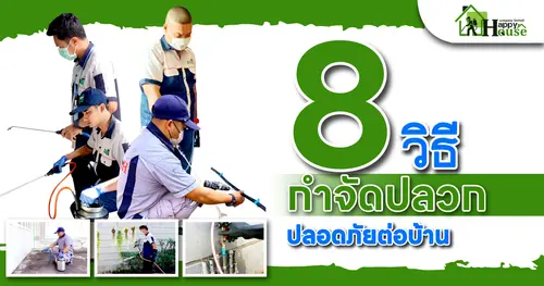 8 วิธี กำจัดปลวก ปลอดภัยต่อบ้าน