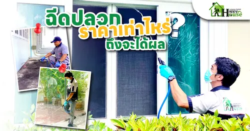 ฉีดปลวก ราคาเท่าไหร่?ถึงจะได้ผล