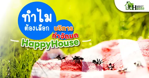 ทำไมต้องเลือก บริการกำจัดมดHappyHouse