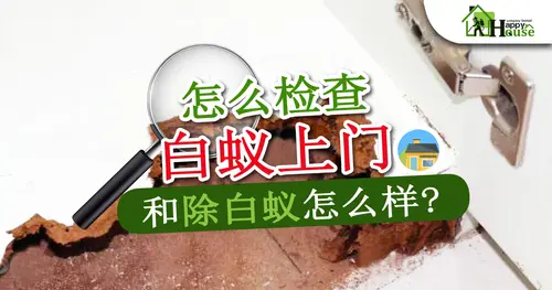 怎么检查  白蚁上门 和除白蚁怎么样 ? 
