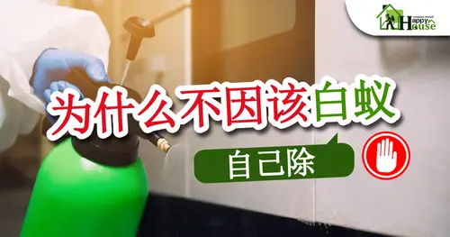 为什么不因该白蚁自己除 ?
