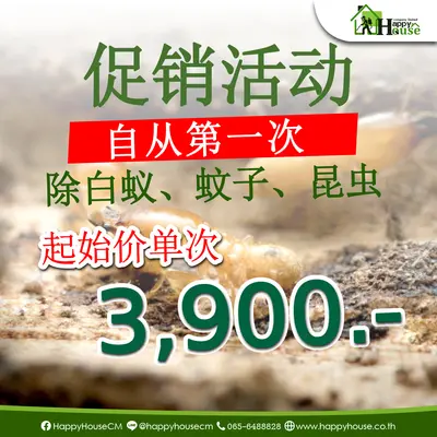  除白蚁 蚂蚁和蟑螂 特价！自从第一次
