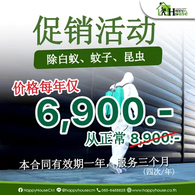 很值得! 除白蚁 蚂蚁和蟑螂  合同乘年 进行工作每三个月