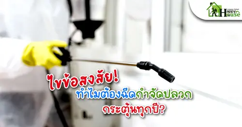 ไขข้อสงสัย ทำไมต้องฉีดกำจัดปลวกกระตุ้นทุกปี