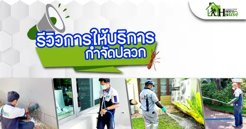 รีวิวการให้บริการ กำจัดปลวก