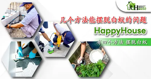 几个方法能摆脱白蚁的问题?