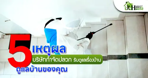 5 เหตุผลดูเเลบ้านของคุณ บริษัทกำจัดปลวกรับดูเเลเรื่องบ้าน