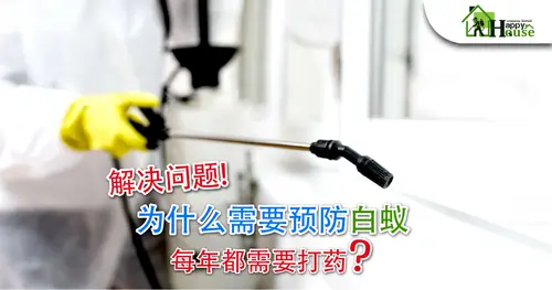 解决问题! 为什么需要预防白蚁 每年都需要打药?