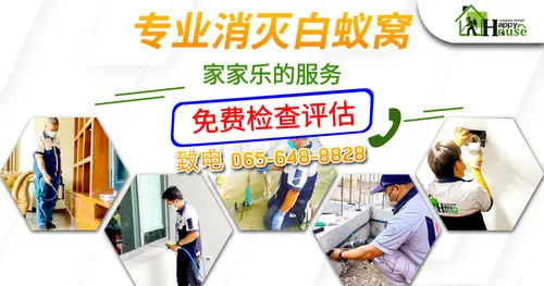 专业消灭白蚁窝  家家乐的服务