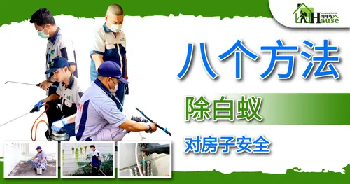 八个方法 除白蚁对房子安全