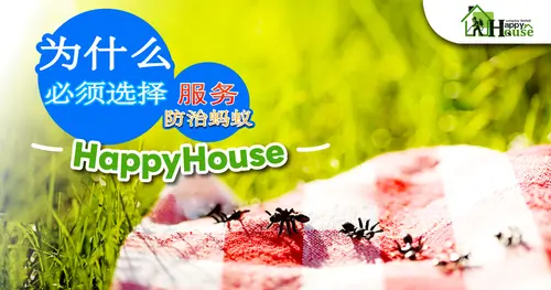 必须选择为什么 服务防治蚂蚁HappyHouse