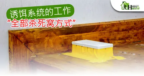 诱饵系统的工作“全部杀死窝方式”