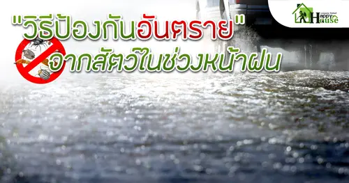 "วิธีป้องกันอันตราย" จากสัตว์ในช่วงหน้าฝน