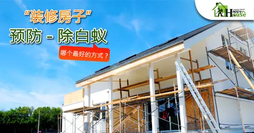 “装修房子” 预防 - 除白蚁 哪个最好的方式？
