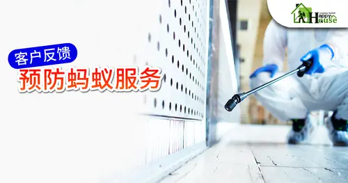 客户反馈 预防蚂蚁服务