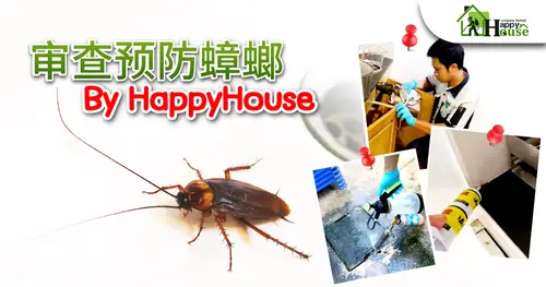 审查预防蟑螂 By HappyHouse