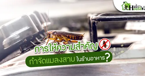 การให้ความสำคัญกำจัดเเมลงสาบในร้านอาหาร