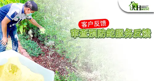 客户反馈 审查预防蛇服务反馈