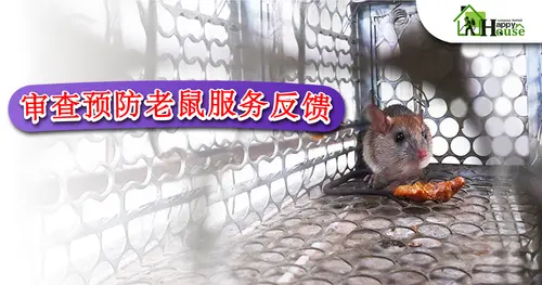 审查预防老鼠服务反馈