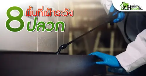 8พื้นที่เฝ้าระวังปลวก