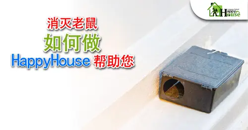 消灭老鼠 如何做 HappyHouse帮助您