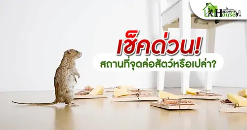 เช็คด่วน ! สถานที่จุดล่อสัตว์หรือเปล่า?