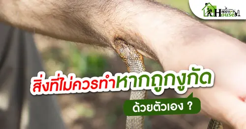 สิ่งที่ควรทำหากถูกงูกัดด้วยตนเอง?