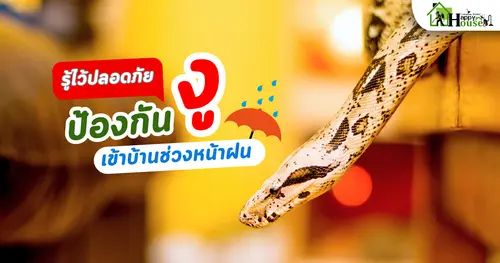 รู้ไว้ปลอดภัย ป้องกันงูเข้าบ้าน ช่วงหน้าฝน