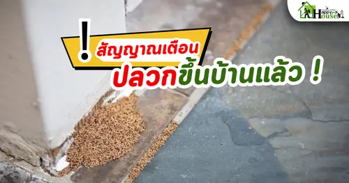 สัญญาณเตือนที่ปลวกขึ้นบ้านคุณ
