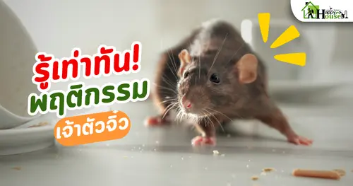 รู้เท่าทันพฤติกรรมเจ้าตัวจิ๋ว