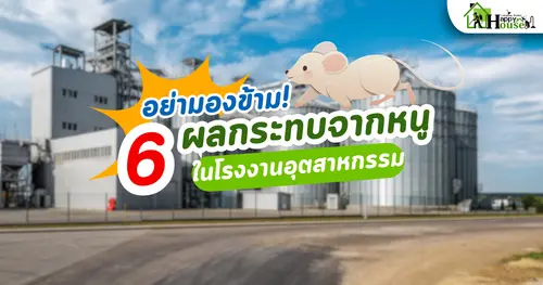 6 ผลกระทบจากหนูในโรงงานอุตสาหกรรม  6 ผลกระทบจากหนูในโรงงานอุตสาหกรรม