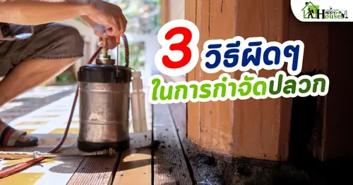 กำจัดปลวก 3 วิธีผิดๆ