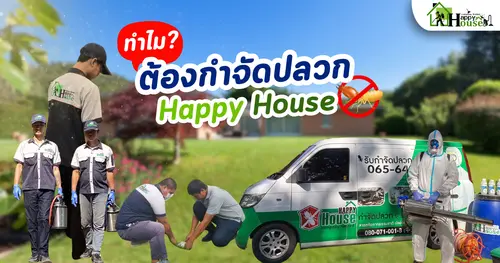 ทำไม? ต้องกำจัดปลวกกับ Happy House