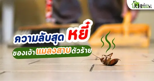 ความลับ ของเจ้าแมลงสาบตัวร้าย