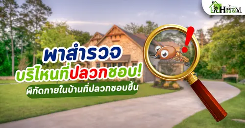 สำรวจพิกัดบริเวรบ้านที่ปลวกมักขึ้น พร้อมวิธีป้องกันและกำจัดปลวก