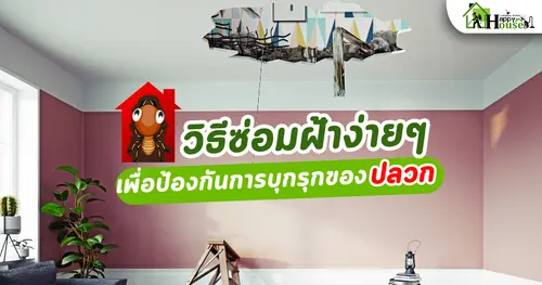 วิธีซ่อมฝ้าง่ายๆ เพื่อป้องกันการบุกรุกของปลวก 