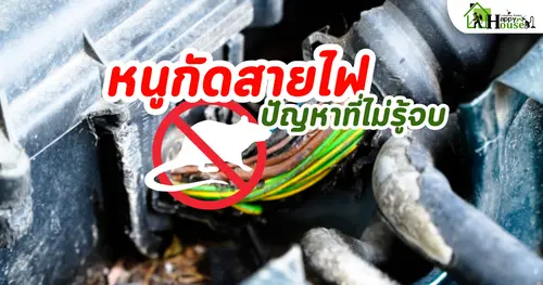 หนูกัดสายไฟในห้องเครื่องรถยนต์ปัญหาที่ไม่รู้จบ
