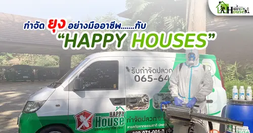 กำจัดยุงแบบมืออาชีพ กับ Happy Houses เรียนรู้วิธีการกำจดยุง