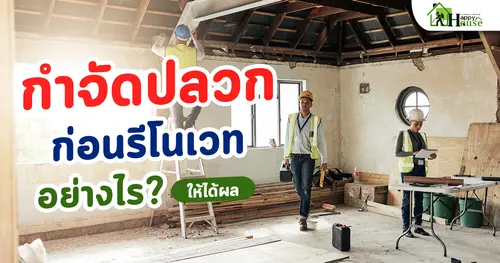 กำจัดปลวกก่อนรีโนเวท ทำอย่างไรให้ได้ผล?