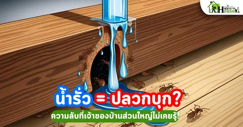 น้ำรั่ว = ปลวกบุก? ความลับที่เจ้าของบ้านส่วนใหญ่ไม่เคยรู้! | กำจัดปลวกก่อนสาย