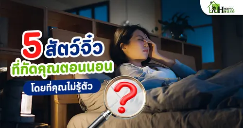 5 สัตว์ตัวจิ๋วที่กัดคุณตอนนอน โดยที่คุณไม่รู้ตัว